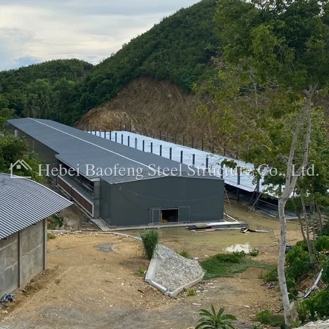 Большая куриная ферма специальный фермерский сборный стальной корпус куриный