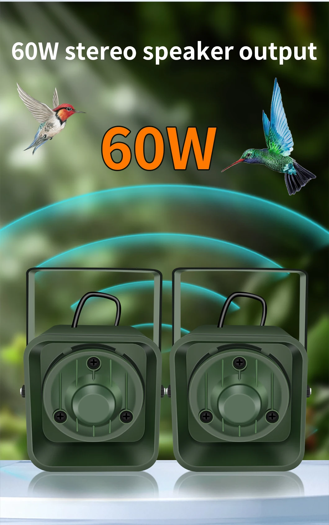 CSW-999_06.jpg