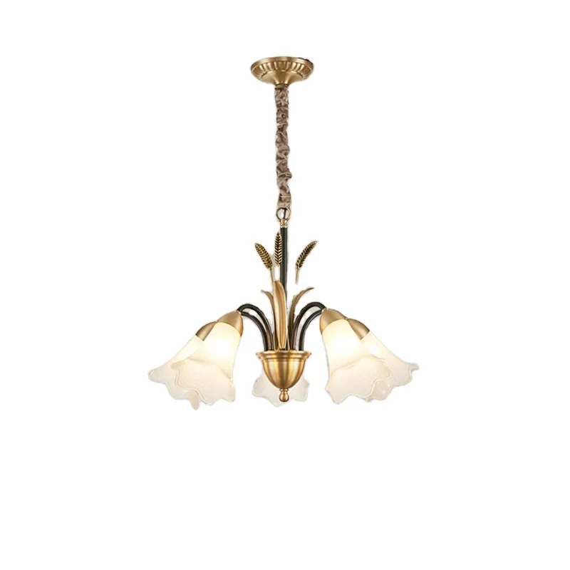 Customized direct selling home decoration living room ceiling lighting led