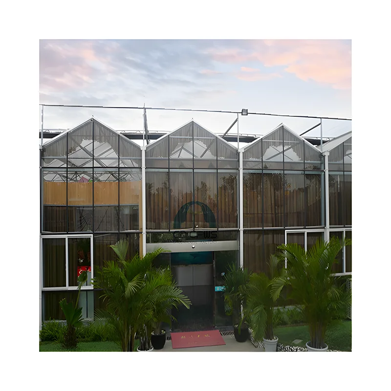 greenhouse outdoor polycarbonate  Large Multi span Agricultural Sightseeing PC Sheet Green house Drying Room