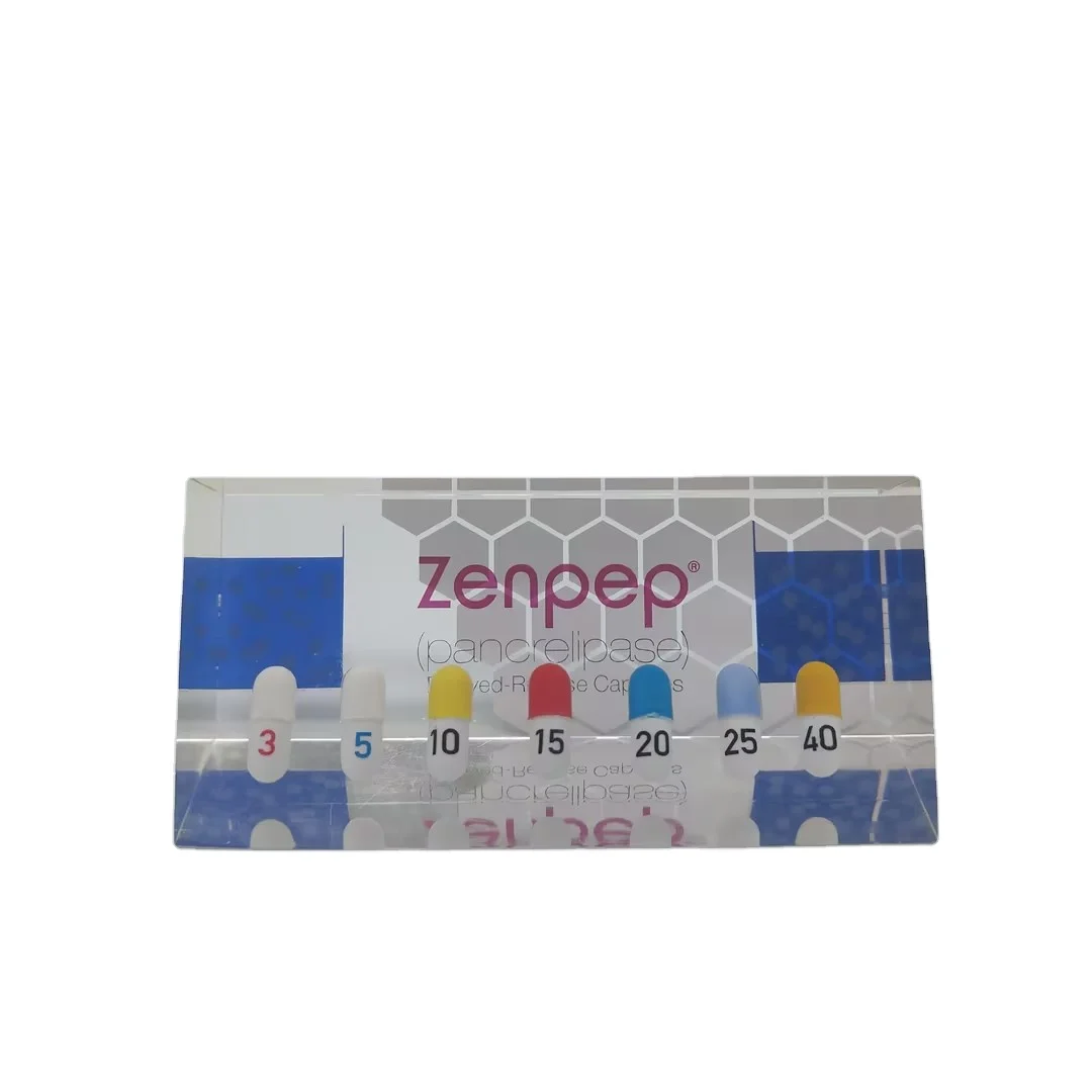 Wholesale Cheap Custom Artwork Resin Craft Insect Paperweight Clear Acrylic Block Paperweight