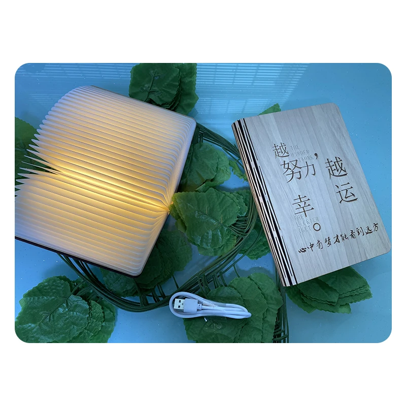 Оригинальная небольшая портативная перезаряжаемая светодиодная деревянная винтажная лампа для книг, ночник