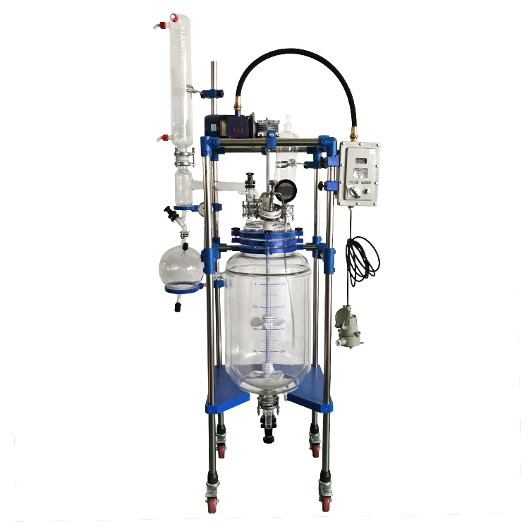 Multifunctional fermenter bioreactor industrial 5-100L Glass Lab Staingless-stell GLASS Reactor