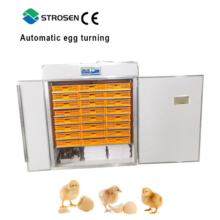 good quality incubators hatching eggs ostrich incubators hatching eggs