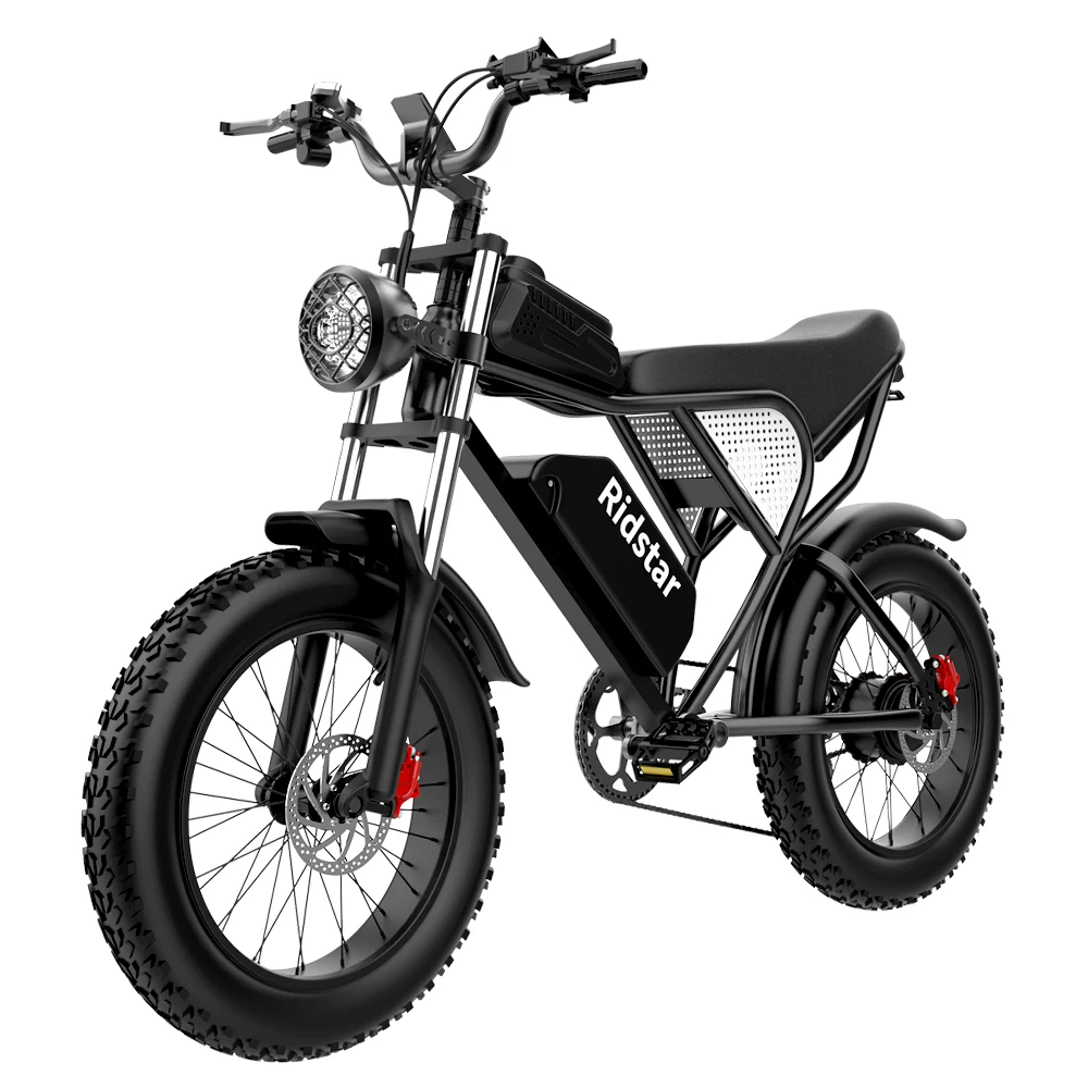 Electric Motorcycle Ridstar Q20 20Inch Fat Tire 1000w 20Ah 50Km/h Electric Bicycle mtb USA Warehouse Drop Ship