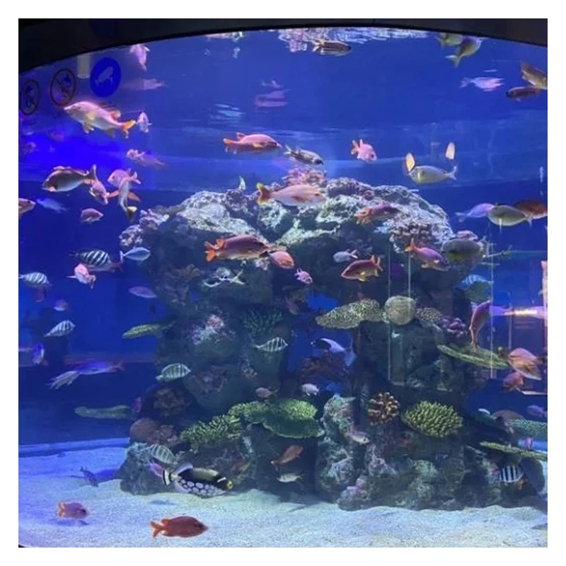 Clear acrylic cylinder panel acrylic aquarium wholesale fish aquarium big acrylic fish tank