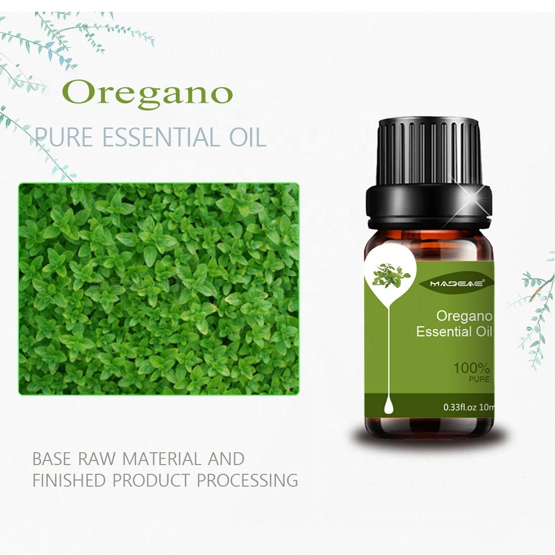 100% Pure Natural Steam Distilled Food Grade Oregano Essential Oil (origanum vulgare) Can support Customized packages
