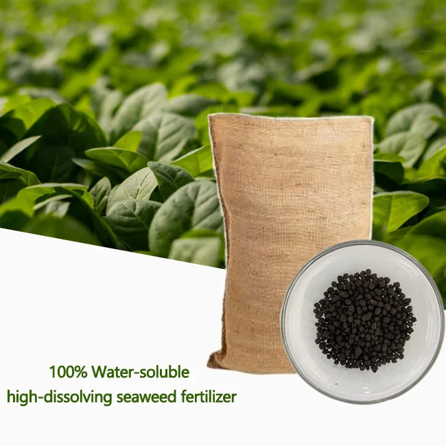 Wholesale  Agricultural Organic Seaweed Granular Fertilizer16-0-1 Seaweed Organic Granular Fertilizer