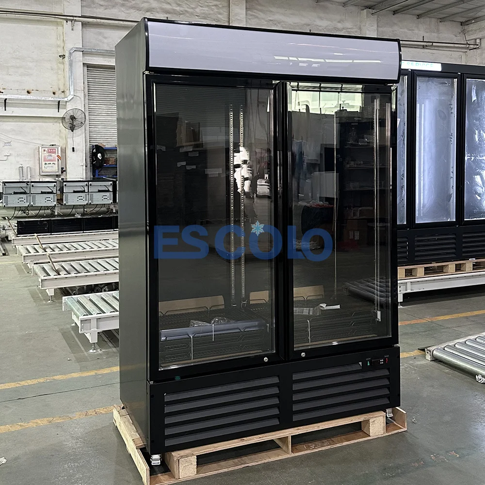 Commercial Restaurant Glass Door 2 Door Freezer With Lock
