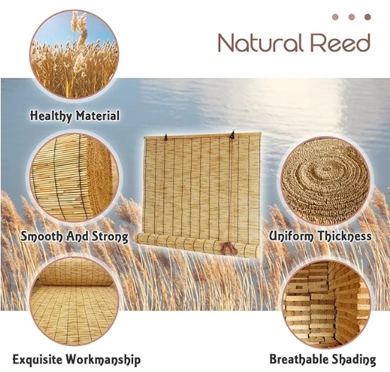 Roll up Reed Shade OutdoorBamboo Blinds Patio Reed Blinds Roman Roller Blinds Reed Curtain with Lifter Porch