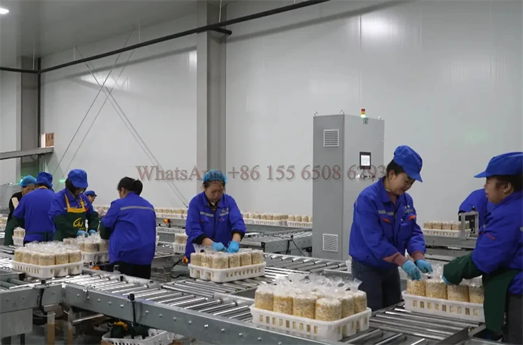 Special price Bacteria bag sterilization box Mushroom plastic tray edible fungi plastic loading compost bags basket With Handle