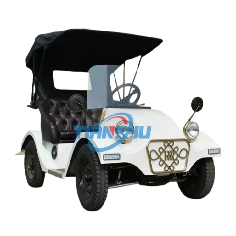 Mini New Electric Cars with 2 Seater Sightseeing Vintage Car