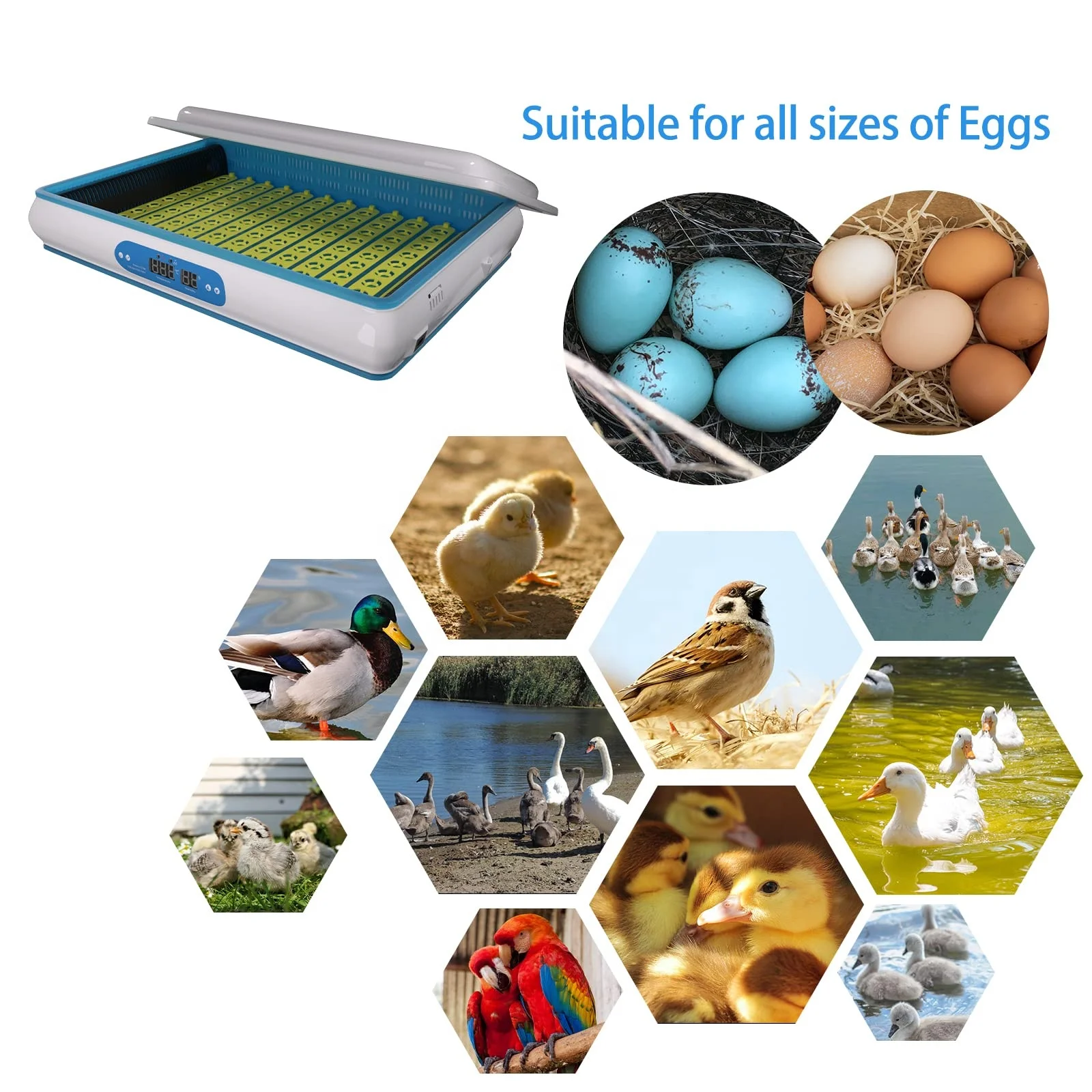 Wonegg Solar Energy System Electric 250 Automatic Egg Incubator With Humidity Display for Chicken Eggs