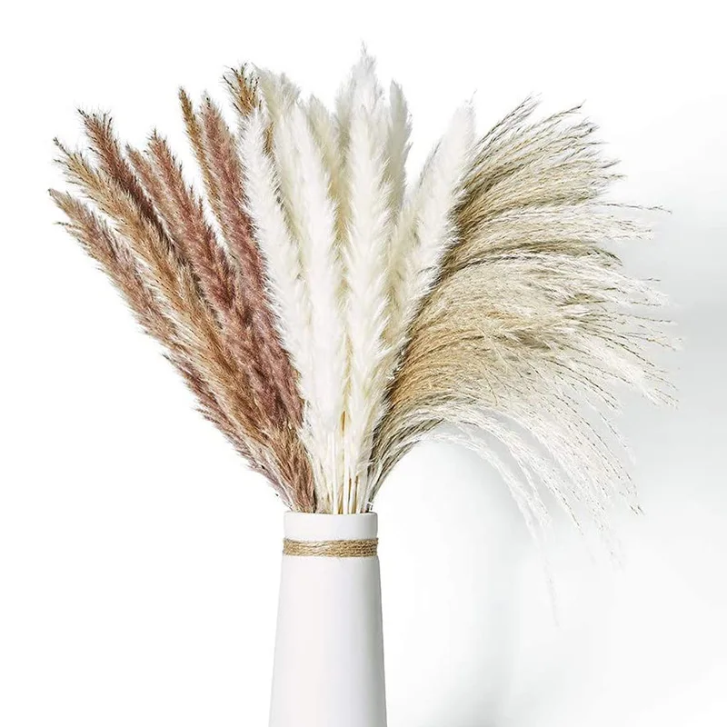 MACTING Hot Sale Pampas Grass Sagebrush Dust Nordic Style Home Decoration Dried Flowers