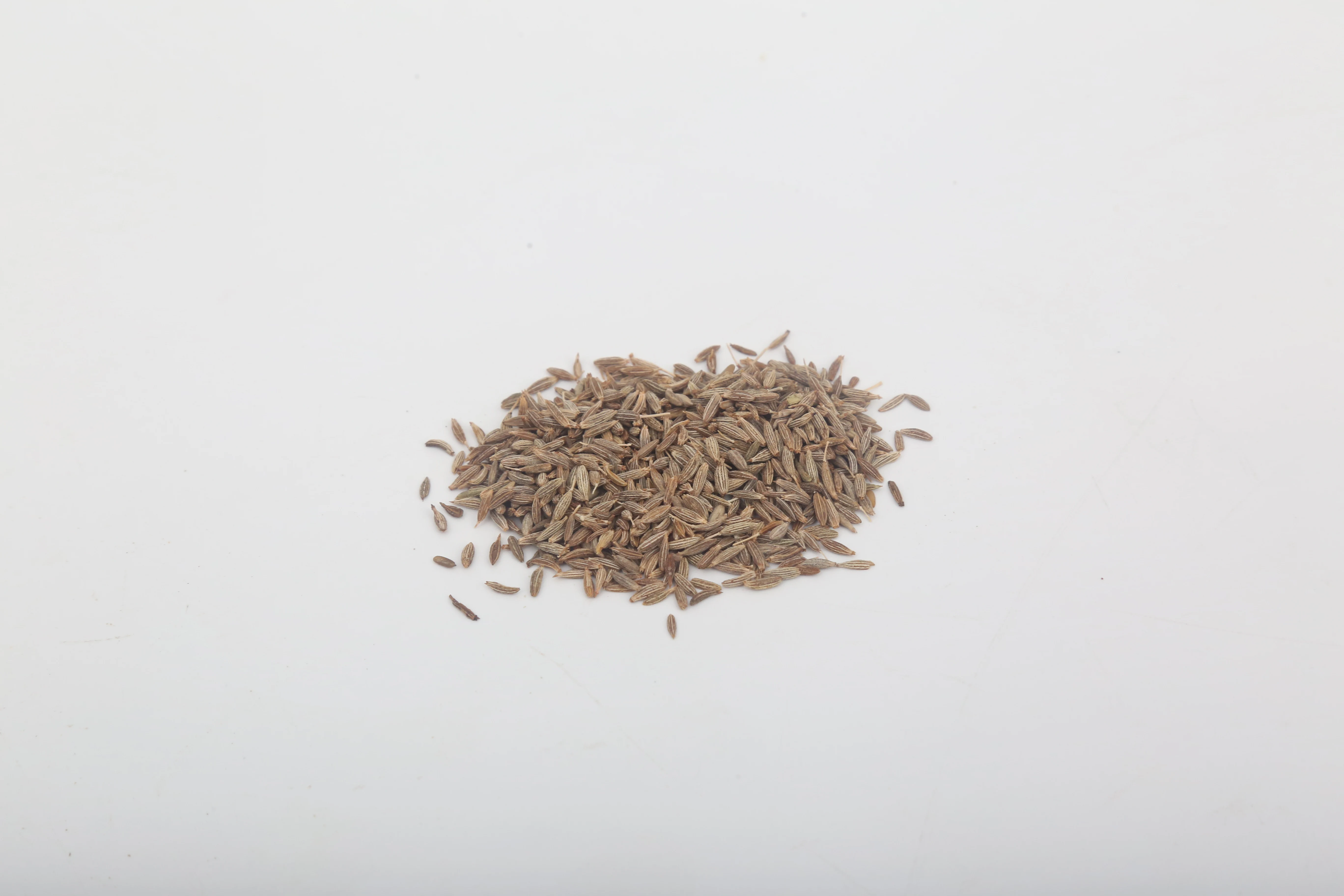 Wholesales bulk Natural Steam treatment Spice dried fennel Seeds of Cumin seed