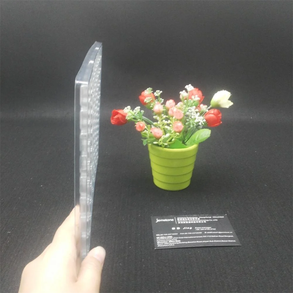 China Packing Supply Manufacture PET Blister Packaging Tray