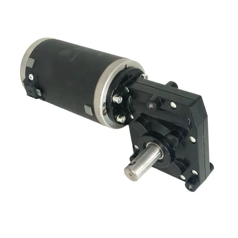 12V Dc Motor Worm Gear Low Rpm 60Rpm 200Rpm 24V 500W Brush Dc Motor