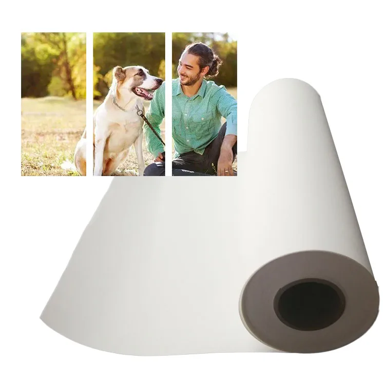 Wholesale Professional Primed 380gsm 100% Polyester Matte Canvas Roll