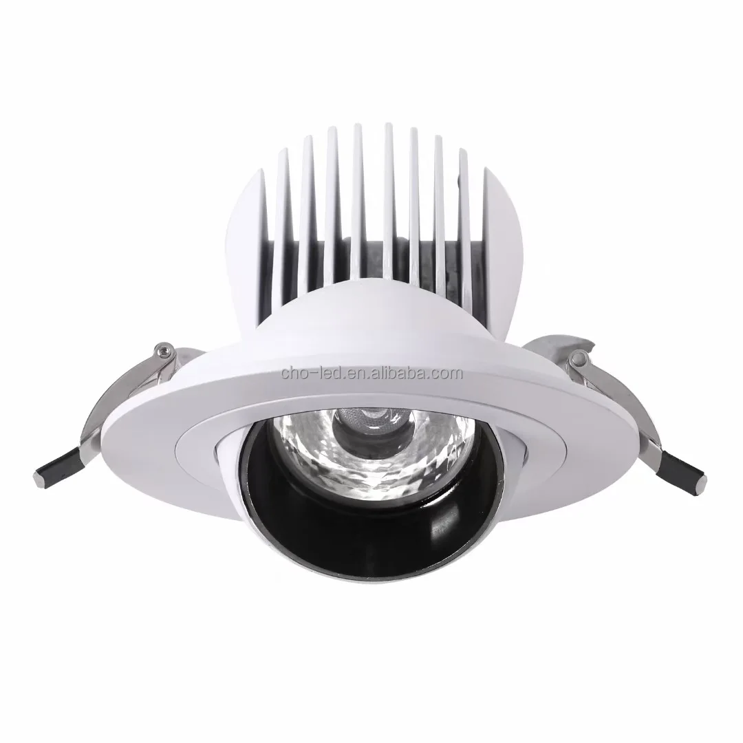 10w Gimbal ceiling light 3.jpg