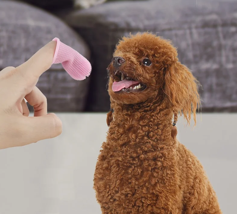 2021 New Amazon 360 Degrees Surround Brush Full Bristles Teeth Cleaning Fingerbrush Silicone Toothbrush For Dogs And Cats