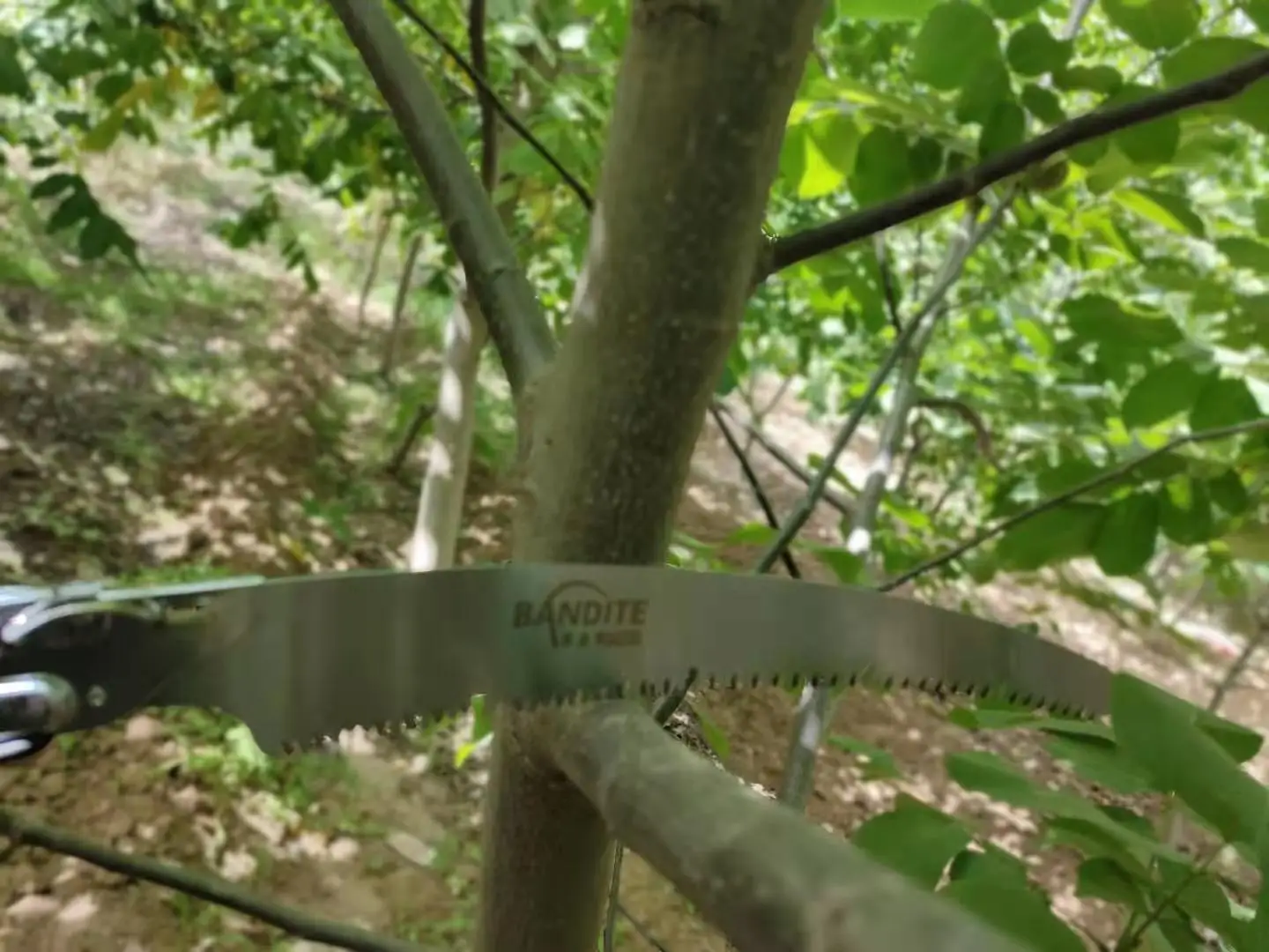 High performance tree Saw and Holster for Cutting Bush Branch with Pull Blade Sharp