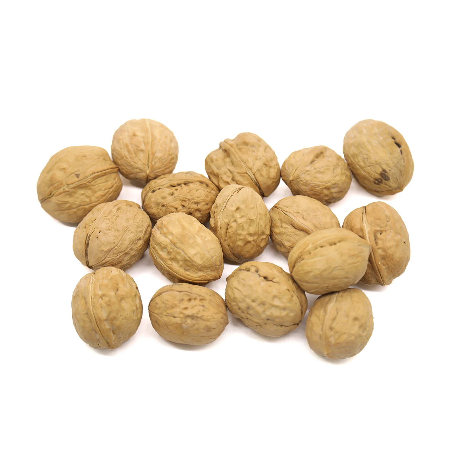 Export Quality185 Walnut in Shell Wholesale Price Walnuts