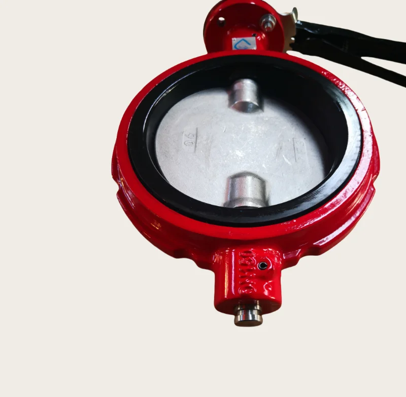 6 Inch ANSI CL150/ANSI125 Ductile Iron Ggg50 Red Color Wafer Type Butterfly Valve Suitable for American Market