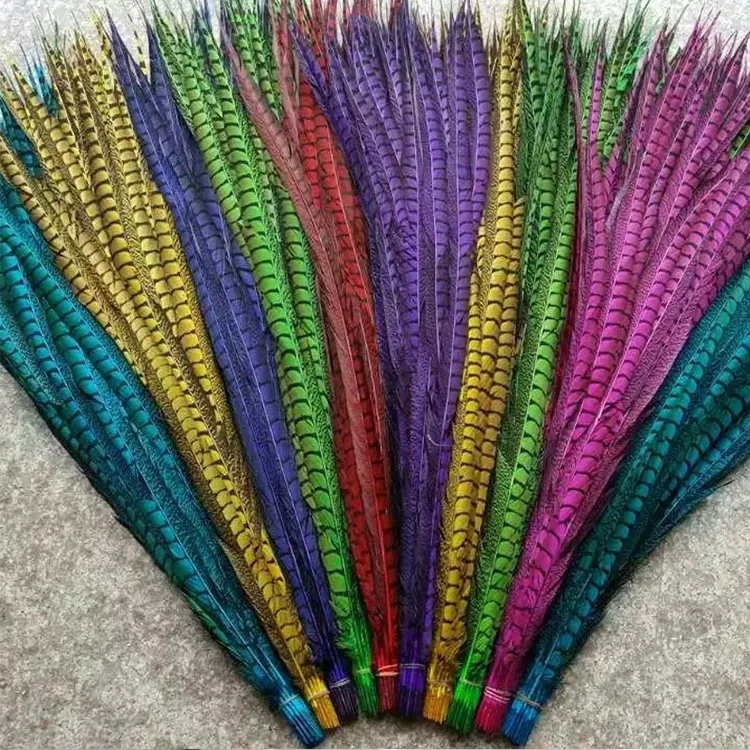 Customized High Quality Bleached Dyed Lady Amherst Pheasant Tail Feathers