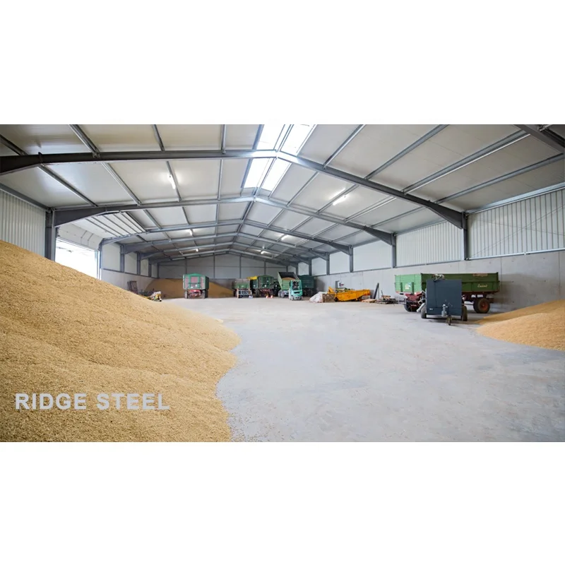 Customized Design Prefabricated Steel Structure Building At Low Cost Office Shopping Hall Workshop Warehouse