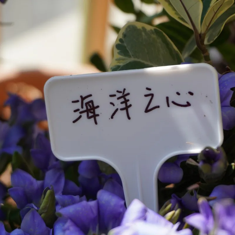 Sublimation Plastic Custom Tag Nursery Name Plant Garden Supplies Plant Sign Tag Circular For Gardening