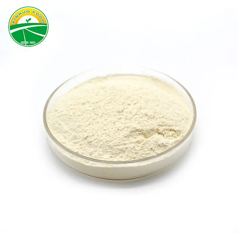 Dried Onion powder