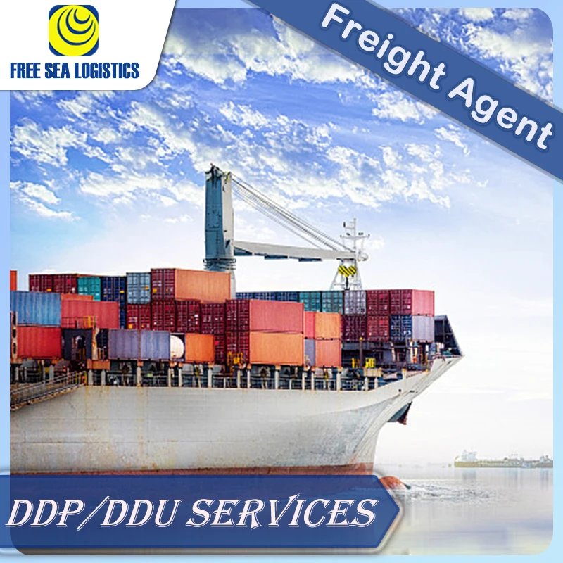 Best Door To Door Sea Freight Shipping Agent From Guangzhou China To Czech Belgium Greece Bulgaria ddp FBA LCL