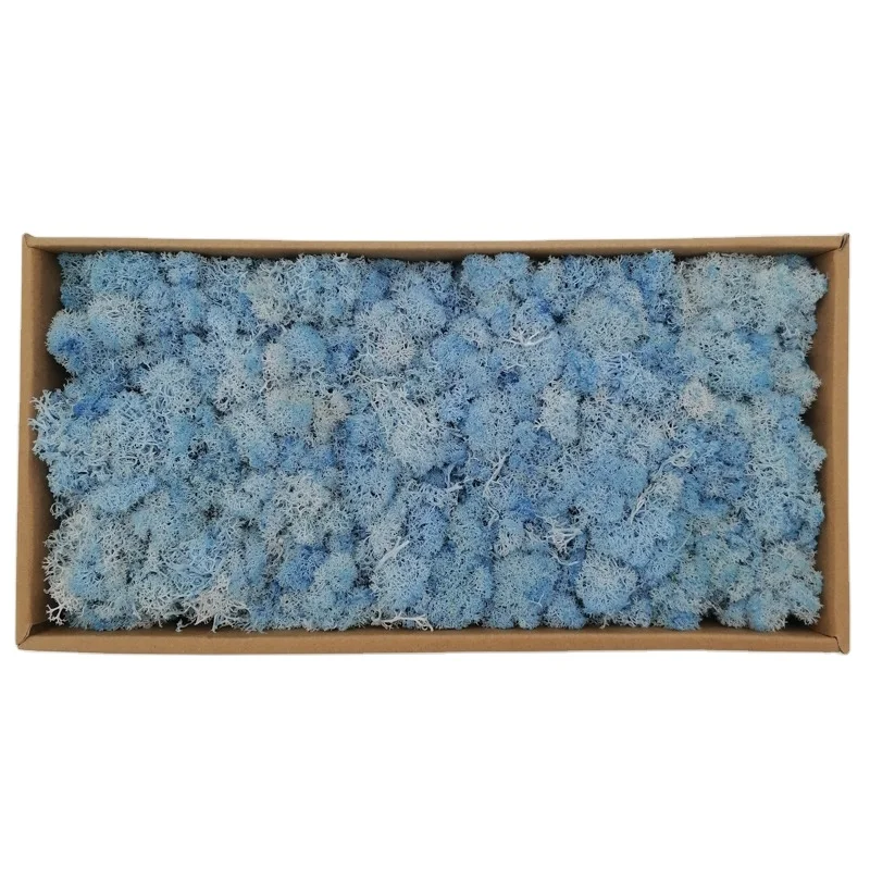 Moss wholesale manufacturers direct batch decorative moss wall home