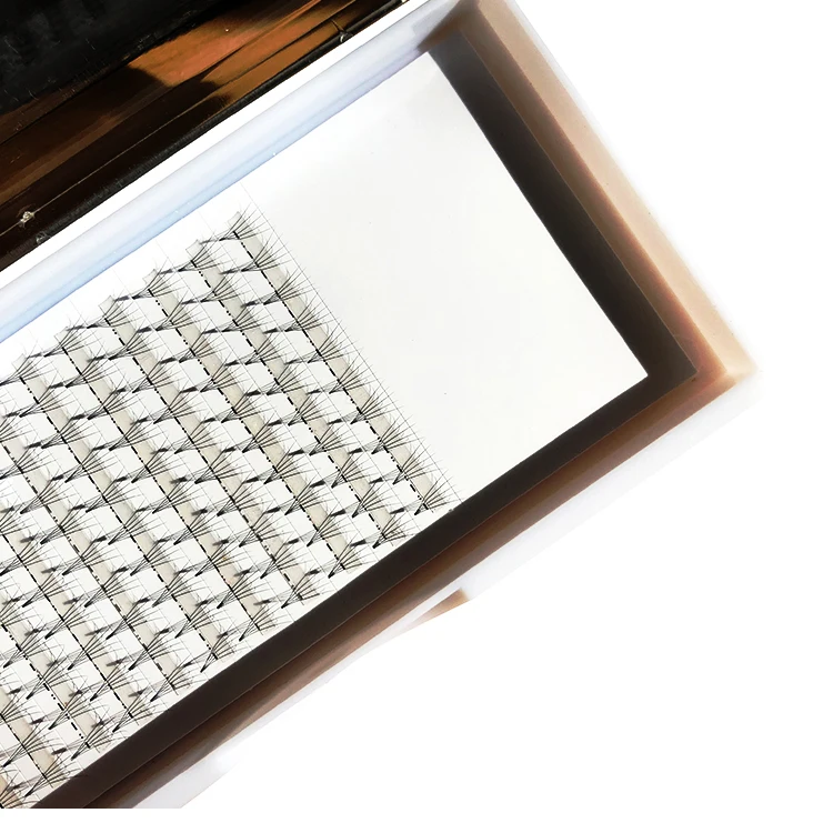 
High Quality Hot Seller 3D And 5D L Curl 0.03 And 0.05 Premade Fan Eyelashes Customized Trays Cards Accept Individual Lashes 