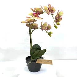 Artificial Real Touch Orchids Flowers Latex Phalaenopsis Stems For Wedding Centerpieces Living Room Home Decoration