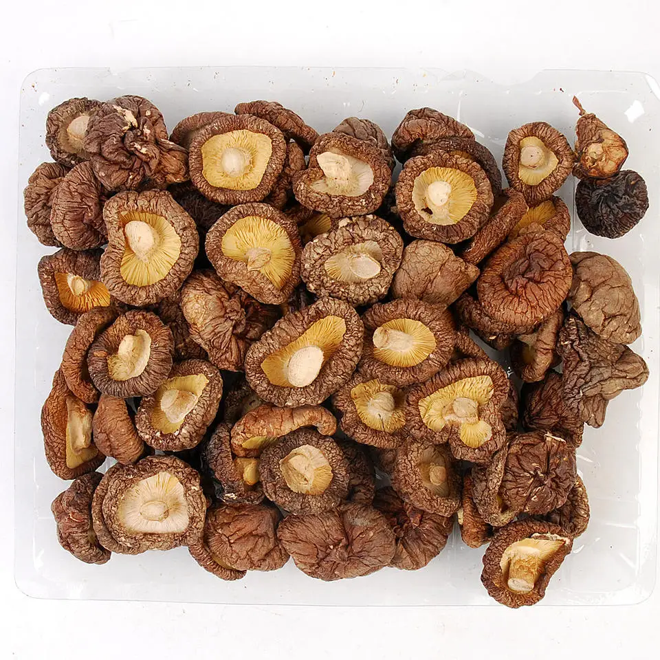 High Quality Dried Mushroom Shiitake Healthy Food Shiitake Mushrooms