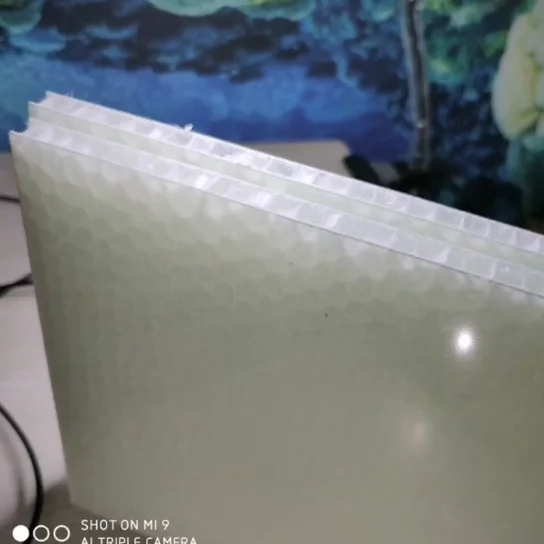 PP honeycomb core for truck body door and floor