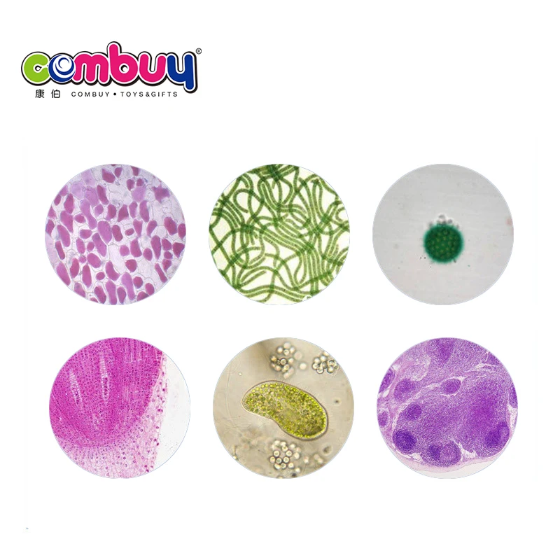 Children beginner science kits 100X 400X 1200X microscope