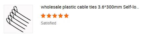 paste-pic-dp_uuid_7vw36