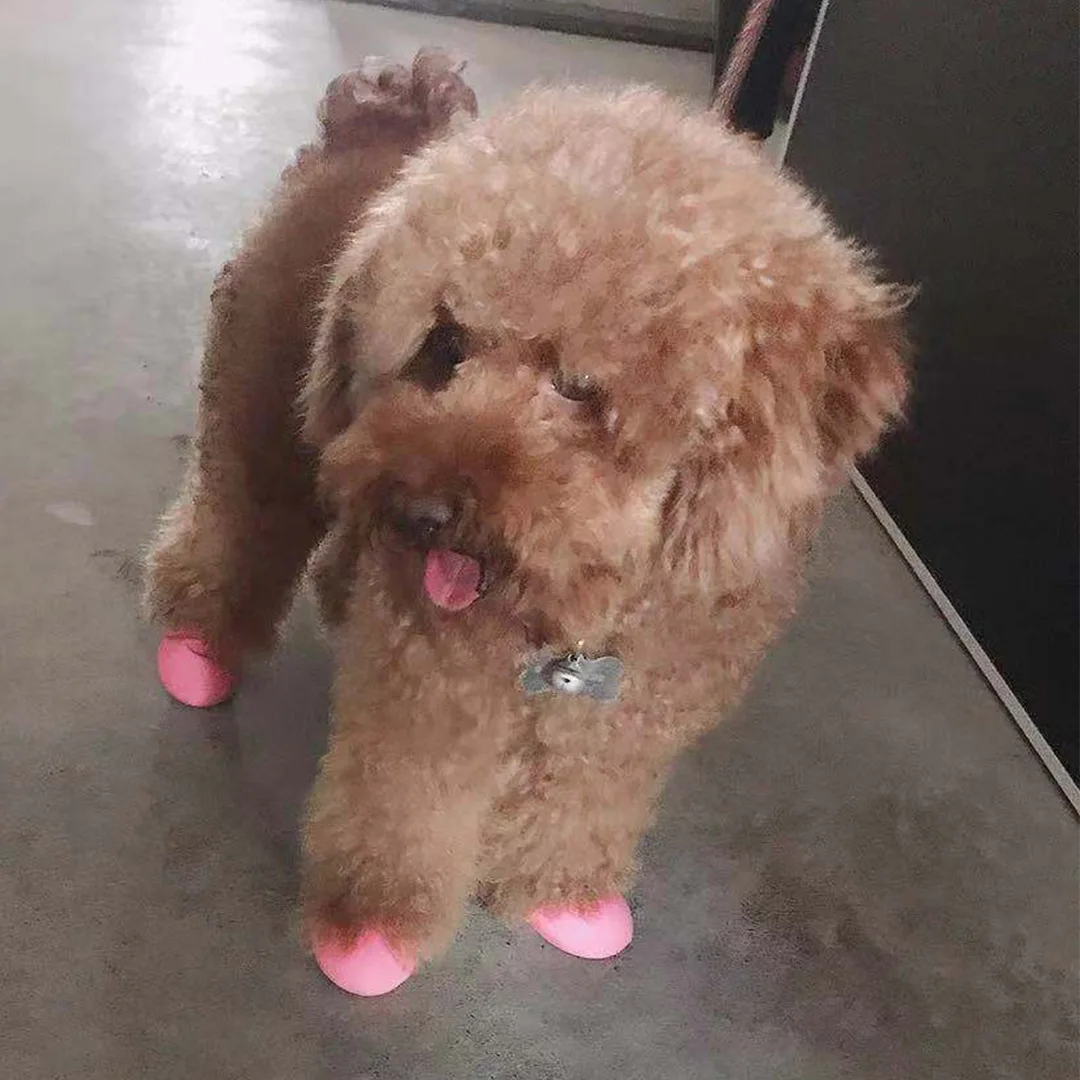 Non Slip Waterproof Rubber Rain Boots Pets Boots Socks Balloon Dog Rain Shoes