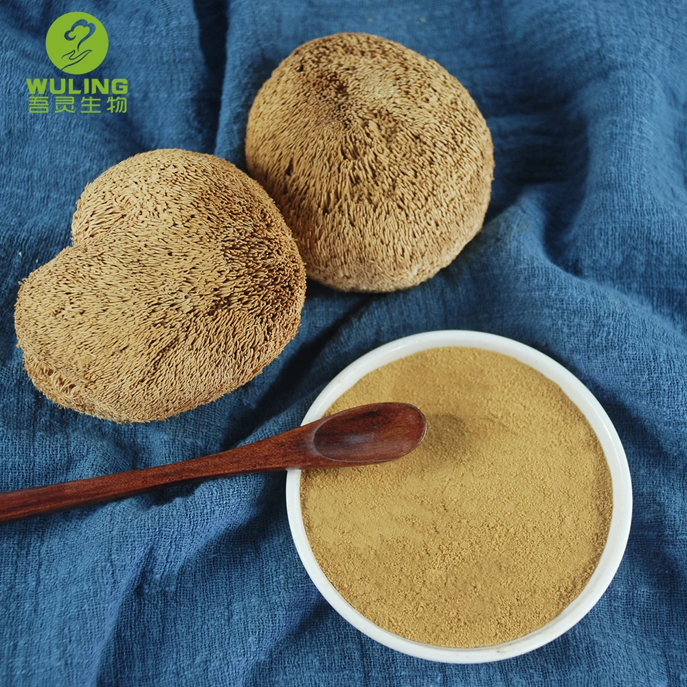 Экстракт грибов Львиной гривы, левая Грива (Hericium eroiseus)