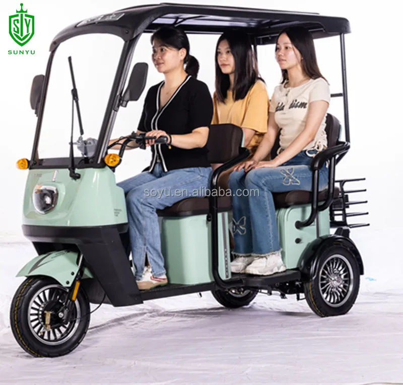 Electric Adult Tricycle Fatbike From China Ebike Max Motorcycle Custom Magnet Body Steel MOTOR Power Bicycle Wheel Brake Cargo