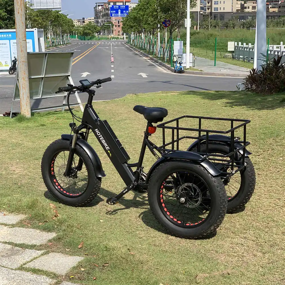 3 колеса Электрический трехколесный грузовой велосипед Максимальная скорость: 25 км/ч Эл famili; Грузовой 160 дисковый тормоз для е-байка