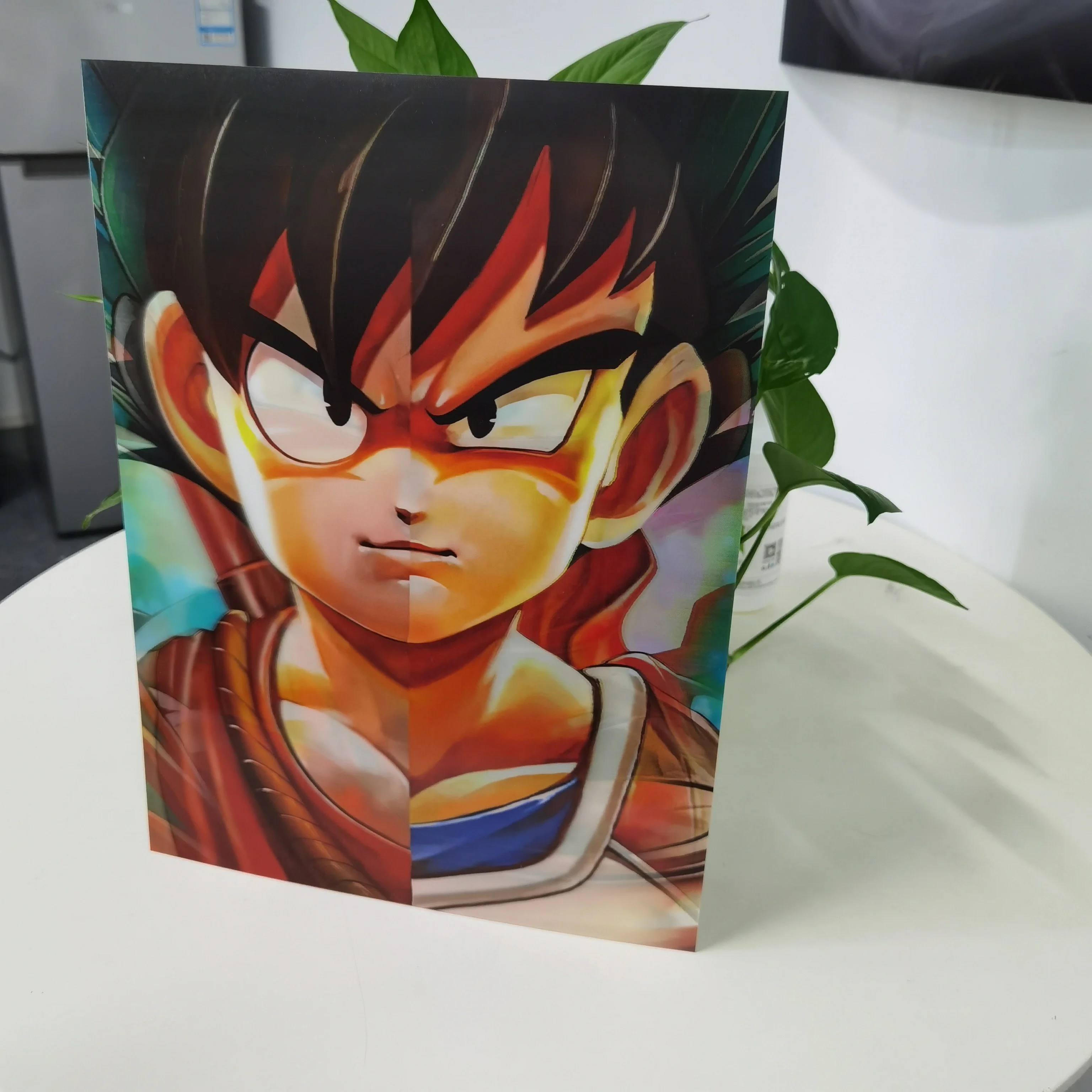dragon ball 8 (5)
