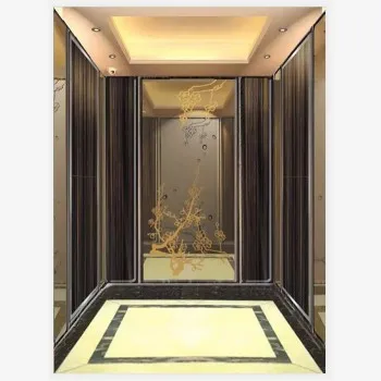 FUJI brand new-type lift Hot sale Passenger Elevator Manufacturer In China 2020