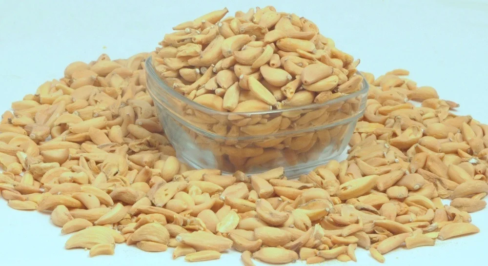 
Premium Quality Dehydrated Garlic Flakes of Manufacturer & Exporters 