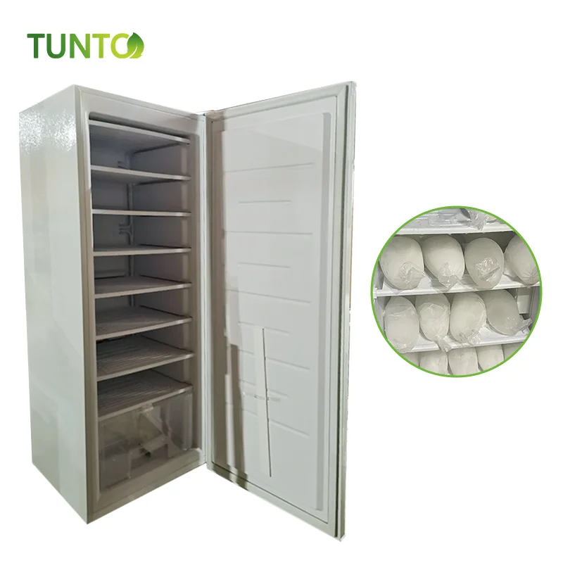 Compact Efficiency PV-compatible upright  freezer 24V 198L 8/11layers Ice Block Maker for Chad  Areas