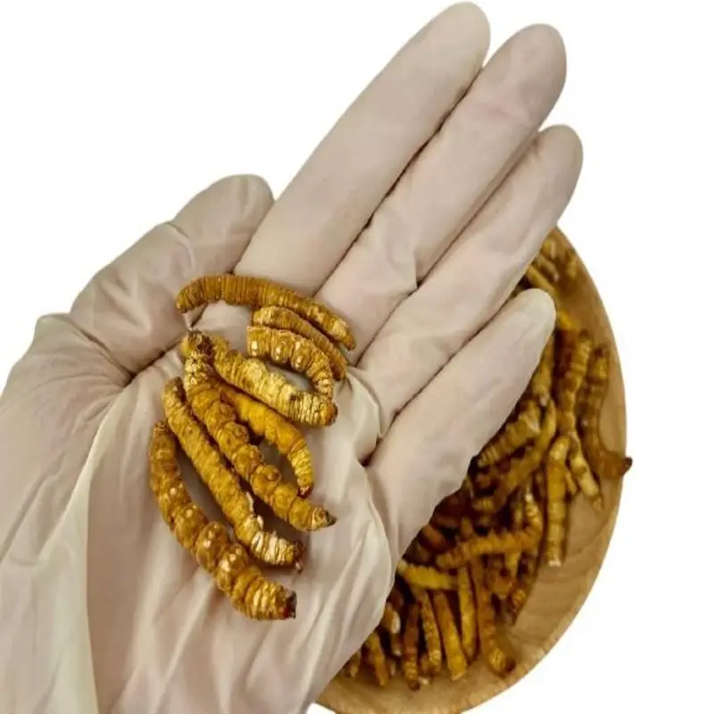 High Nutritional Value Deep Cleaning Tibet Mushroom Extracts Cordyceps Adenosine