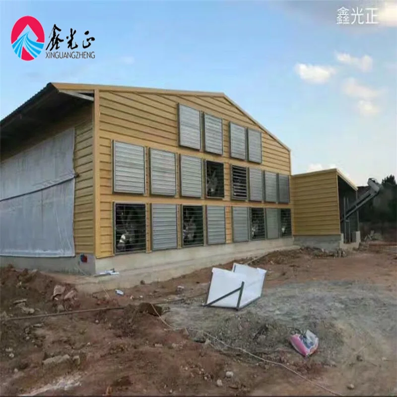 Automatic Poultry Farming System Broiler Layer Chicken Equipment Chicken Livestock Feeder Equipment Automatic Feeding 1.5 Years