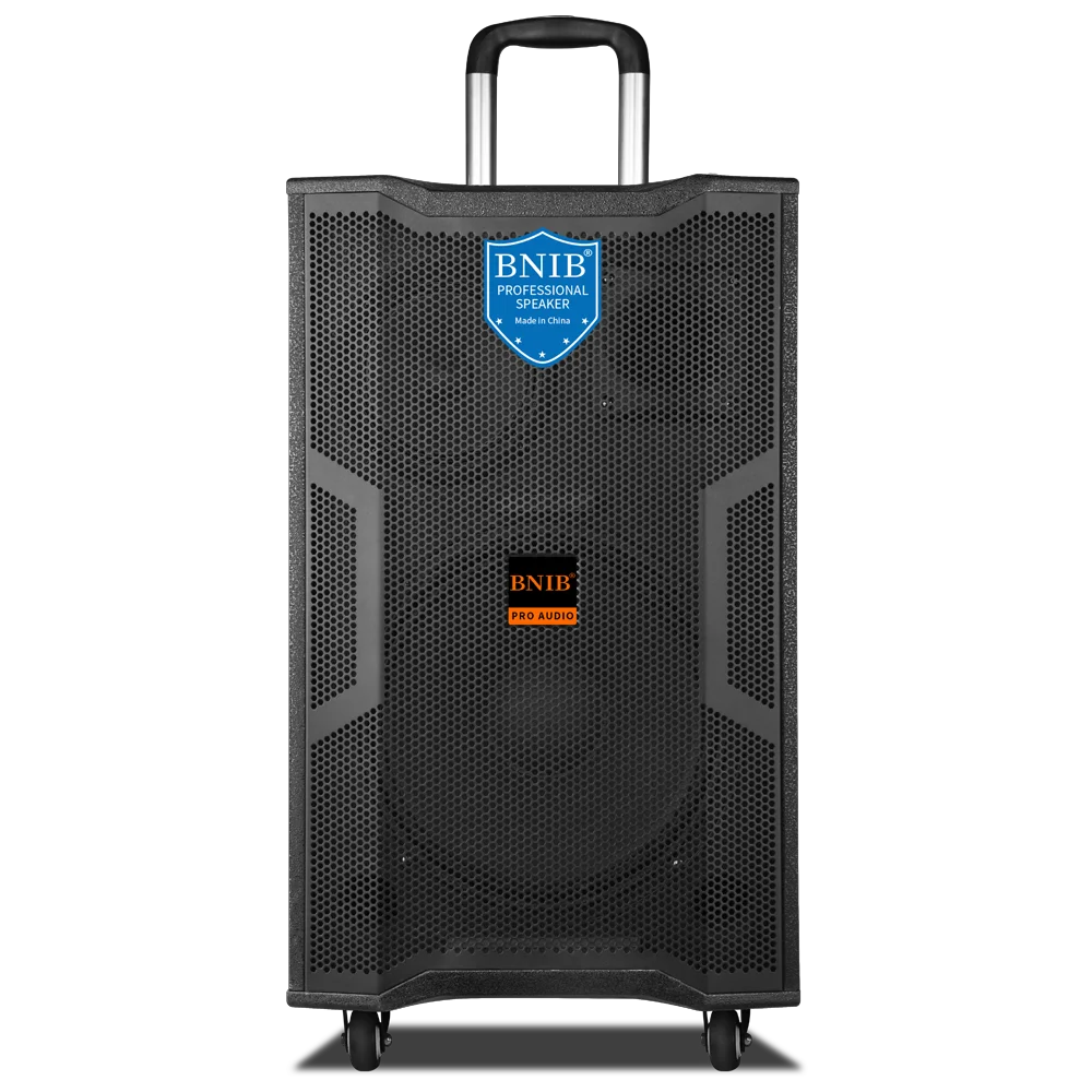 High End China Factory Sound Speakers Outdoor 15 inch Blue-tooth Speaker System OEM Trolley Boombox Battery Speaker With MIC